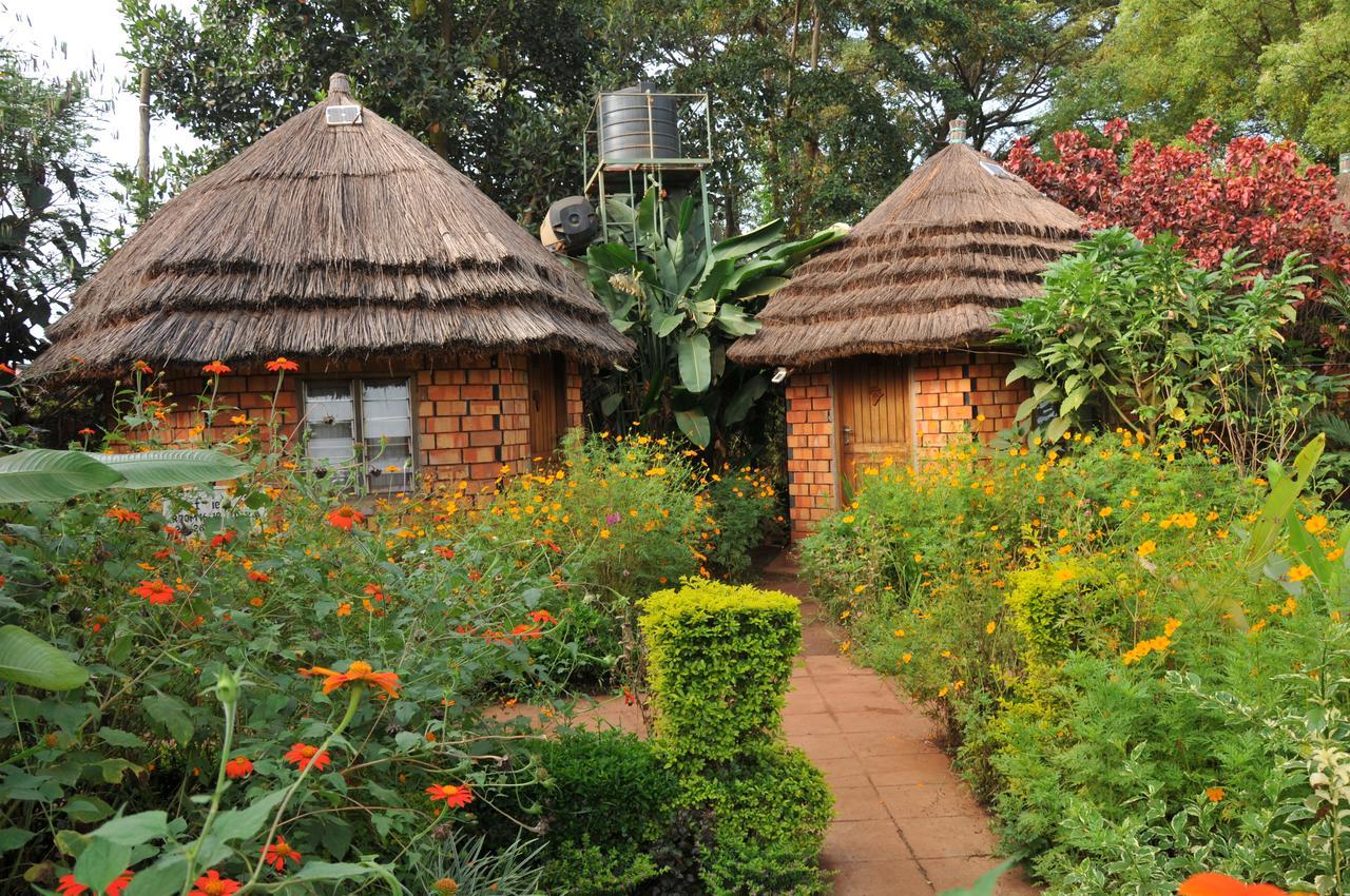 New Court View Hotel Masindi Bagian luar foto