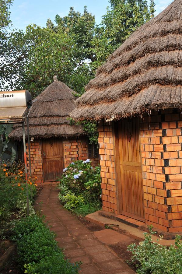 New Court View Hotel Masindi Bagian luar foto